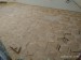 IMG_20191214_153520 - kopie