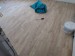 IMG_20190629_154334